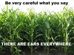 Corny Pun Ears Everywhere