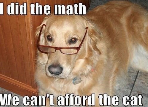 Smart With Glasses