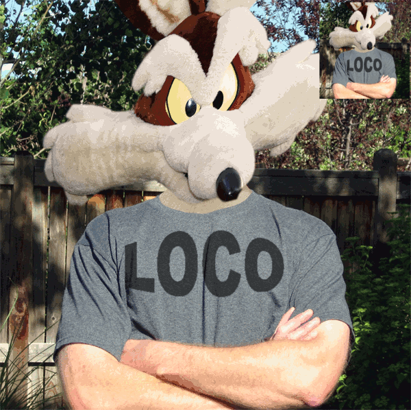 loclolcocl