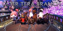 Tera banner