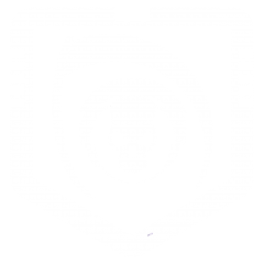 SPECTRE Divbadge