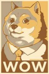 dogewow.JPG